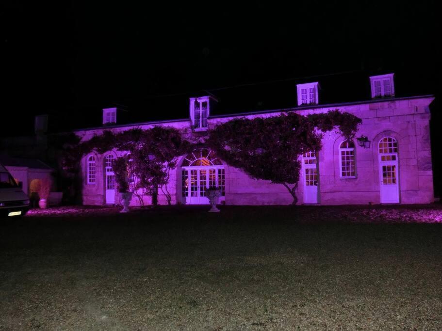 Gite De Groupe Du Chateau De La Meziere Villa Lunay Exterior photo