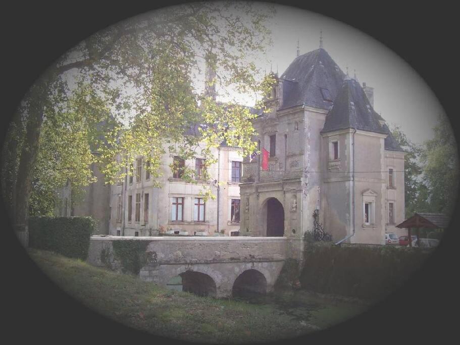 Gite De Groupe Du Chateau De La Meziere Villa Lunay Exterior photo